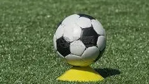 云顶娱乐 产品 025446 sku